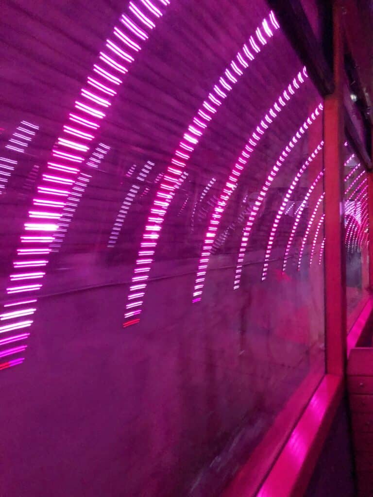 pink lights in tunnel wellington cable car