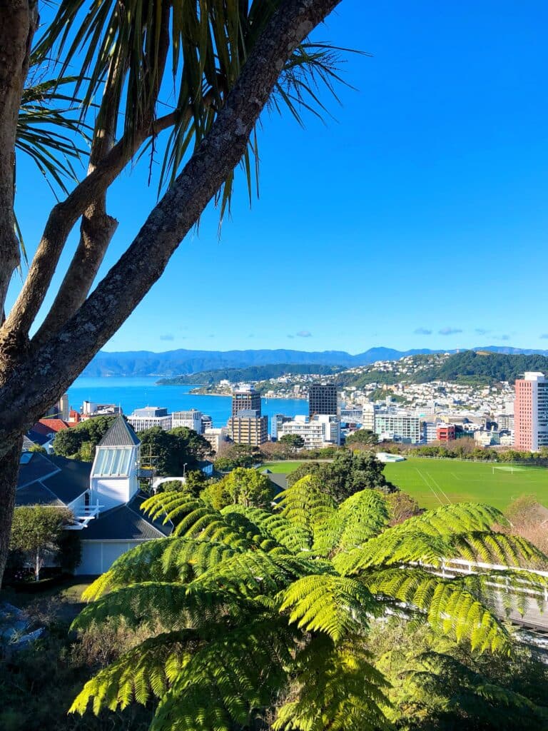 view over the city and harbour from wellington botanic gardens cable car station