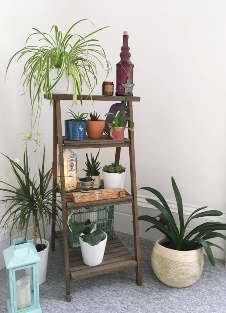 yellow feather blog urban jungle living house plant stand