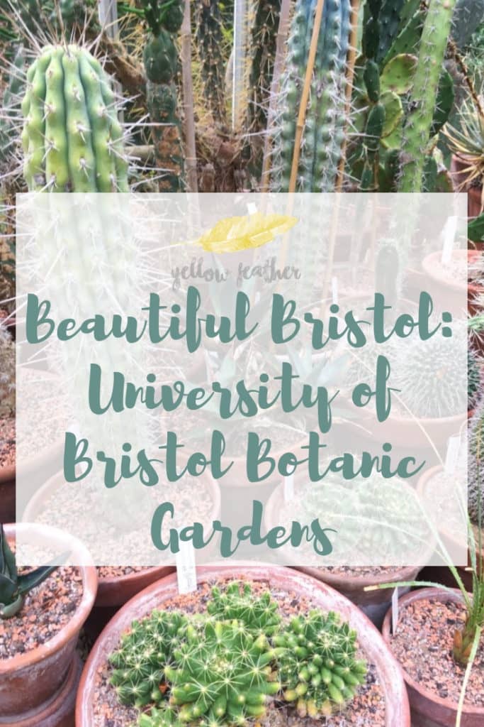 Beautiful Bristol University of Bristol Botanic Gardens