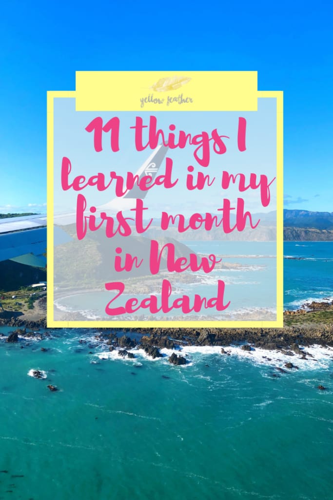 11 things I learned in my first month in New Zealand